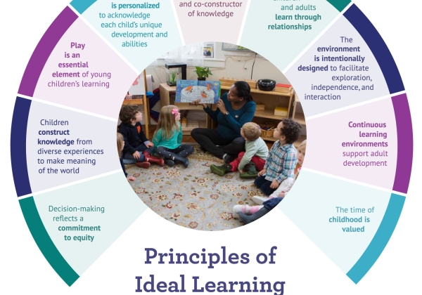 the ideal learning principles